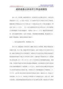 政府政务公开自评工作总结报告
