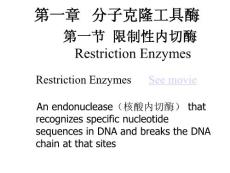 第一章   分子克隆工具酶 基因工程 教学课件