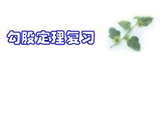 18.3 勾股定理复习-【20101209sc】