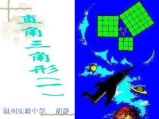 直角三角形(1)【20101209sc】