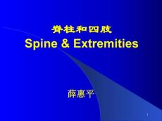 脊柱和四肢