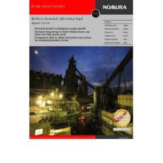 野村证券 2010年亚洲钢铁行业深度研究报告