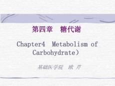 04生物化學(xué)第四章糖代謝