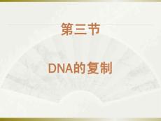 DNA的复制_高等教育-生物学