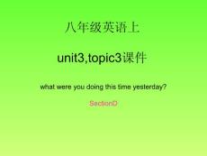what were you doing at this time yesterday?教案