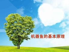 机器鱼的基本原理