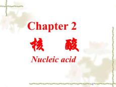 第二章核酸