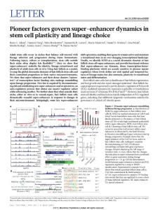 [PDF] Pioneer factors govern super-enhancer dynamics in stem cell plasticity and lineage choice