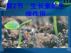 高中生物 3.2生长素的生理作用课件 新人教版必修3