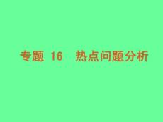 2011届高考地理第二轮专题复习课件（人教版）：专题 16 热点问题分析