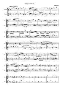 长笛与管乐2、3重奏（库默尔，卡斯帕） 分谱