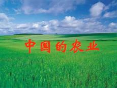 高中地理_中國(guó)農(nóng)業(yè)_優(yōu)質(zhì)課件_1577479062[精華]