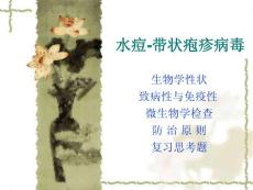 醫(yī)學(xué)微生物學(xué)【水痘-帶狀皰疹病毒】