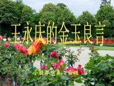 王永庆的金玉良言