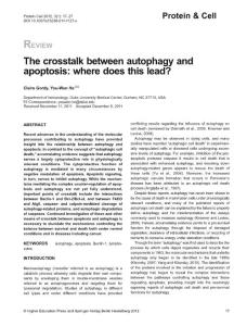 The crosstalk between autophagy and