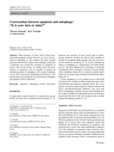 Conversation between apoptosis and autophagy
