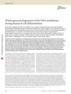 Whole-genome fingerprint of the DNA methylome during human B cell differentiation