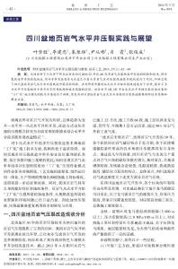 四川盆地頁巖氣水平井壓裂實踐與展望