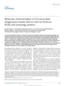 Molecular characterization of LC3-associated phagocytosis reveals distinct roles for Rubicon, NOX2 and autophagy proteins