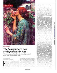 [PDF] The flowering of a new scent pathway in rose
