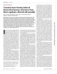 [PDF] Transient laser heating induced hierarchical porous structures from block copolymer–directed self-assembly