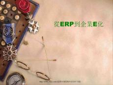 從ERP到企業(yè)E化
