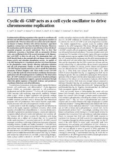 Cyclic di-GMP acts as a cell cycle oscillator to drive chromosome replication