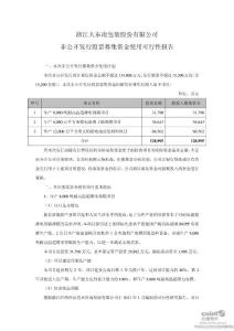 大 东 南：非公开发行股票募集资金使用可行性报告