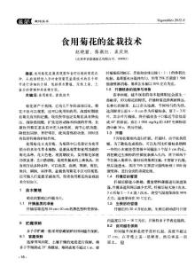 食用菊花的盆栽技術