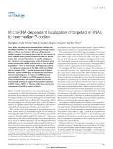 MicroRNA-dependent localization of targeted mRNAs to mammalian P-bodies