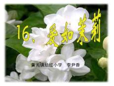 苏教版小学语文五年级下册《爱如茉莉》课件