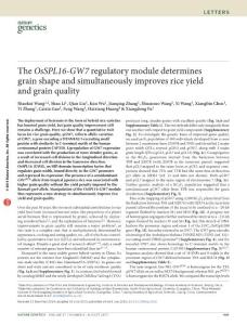 ng.3352_The OsSPL16-GW7 regulatory module determines grain shape and simultaneously improves rice yield and grain quality