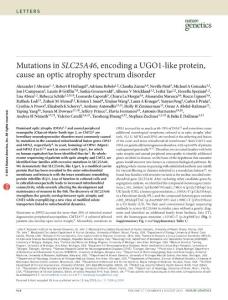 ng.3354_Mutations in SLC25A46, encoding a UGO1-like protein, cause an optic atrophy spectrum disorder