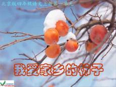 （北京版）四年级语文上册课件 我爱家乡的柿子 2