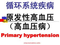 4高血壓病
