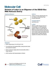 Division of Labor in an Oligomer of the DEAD-Box RNA Helicase Ded1p