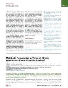 Metabolic Remodeling in Times of Stress Who Shoots Faster than His Shadow