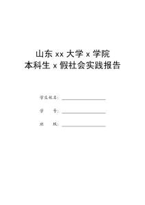 大学生假期社会调查报告(本科)