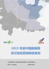 2015年度武汉地区薪酬报告（上半年度）