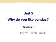 Why do you like pandas