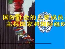 (2015新修改)国际社会的主要成员主权国家和国际组织
