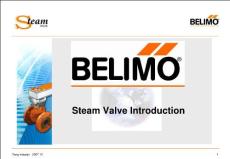 Steam Valve Introduction EN