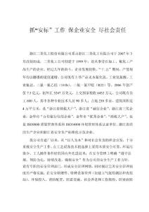 安全标准化工作总结