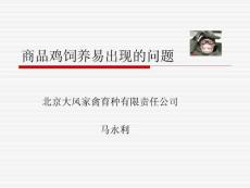 怎样饲养肉食鸡