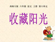 《收藏陽光》PPT課件2-西師大版六年級上冊語文