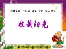 22《收藏陽光》PPT課件3-西師大版六年級上冊語文