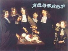 头颈部解剖_图文