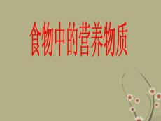 山東省日照市東港實(shí)驗(yàn)學(xué)校七年級(jí)生物下冊(cè)《營養(yǎng)物質(zhì)》課件 新人教版