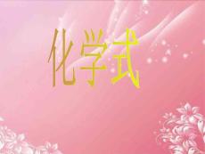 山東省日照市東港實(shí)驗(yàn)學(xué)校九年級(jí)化學(xué)上冊(cè)《化學(xué)式》課件 新人教版