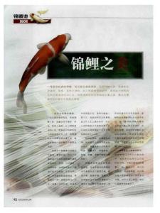 锦鲤之美